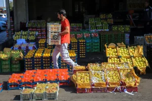توزیع میوه شب عید