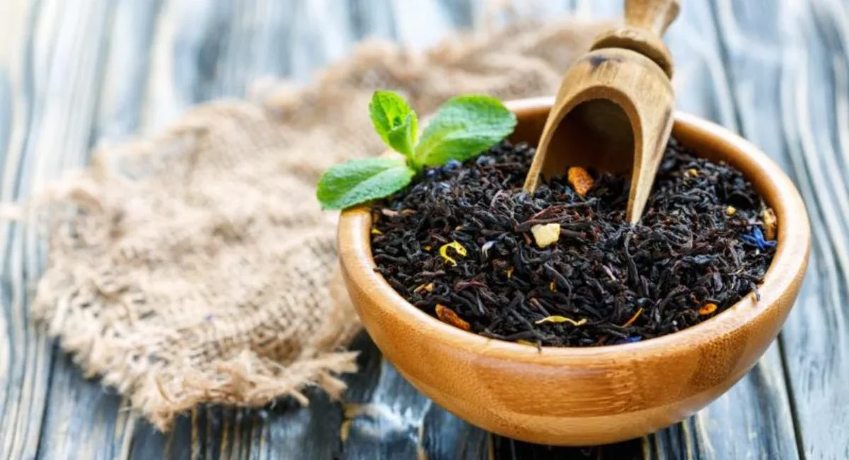 فارمافود نیوز