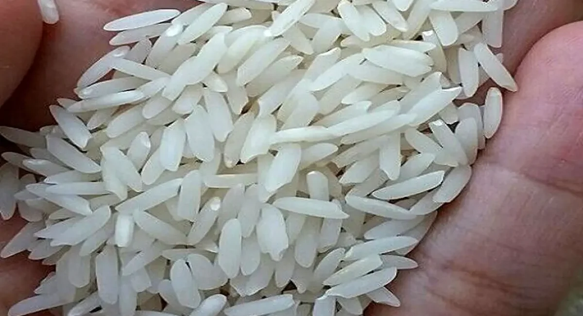 تولید ۲.۲ میلیون تن برنج