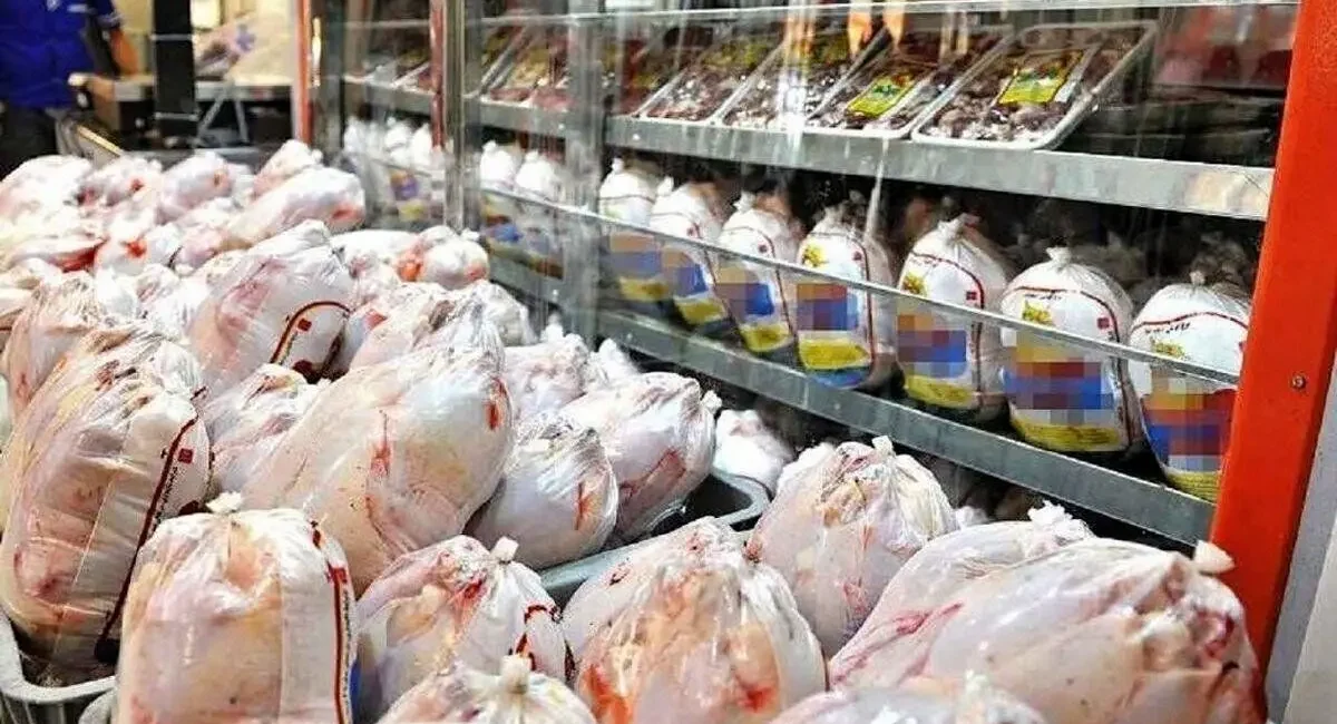 فروش مرغ