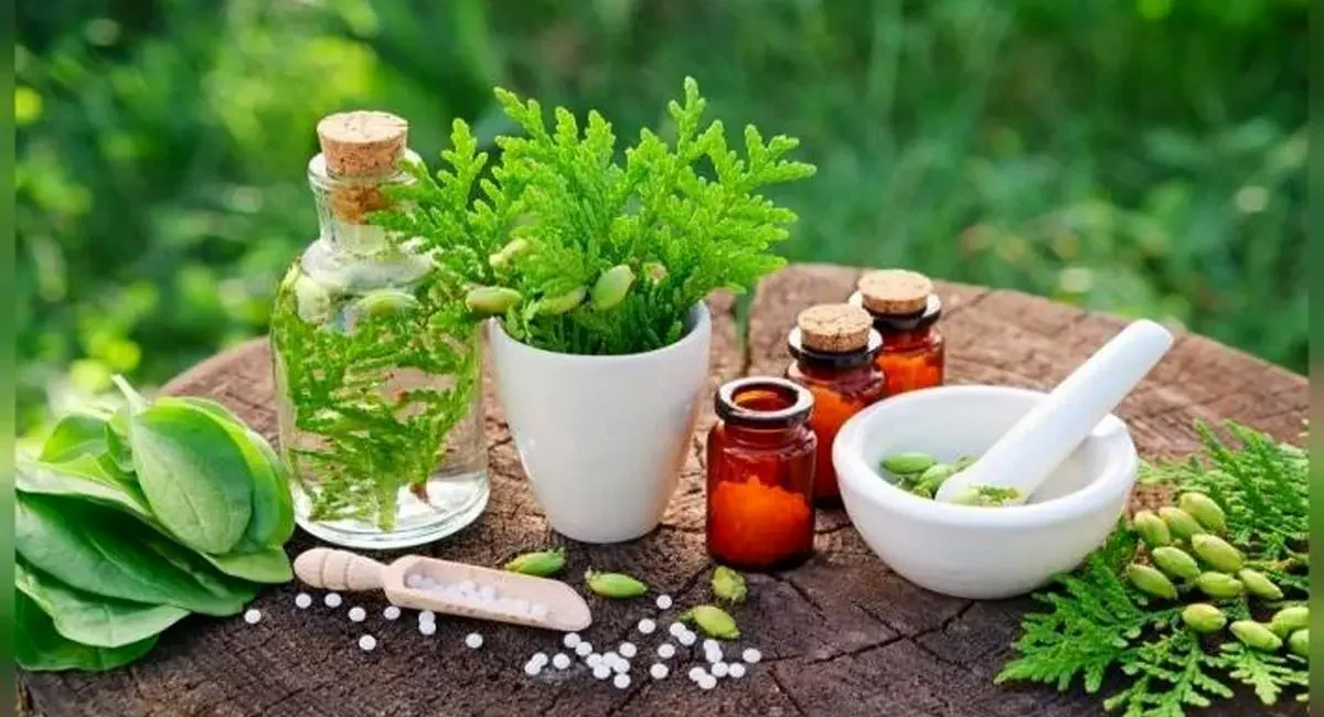 اندازه بازار داروهای گیاهی