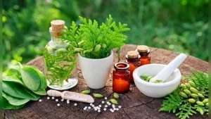 اندازه بازار داروهای گیاهی
