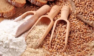ارز نهاده‌های دامی و روغن خام