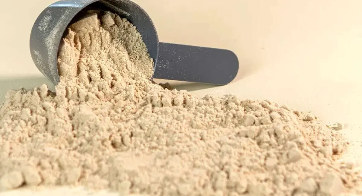 پروتئین وی