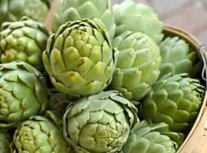 آرتیشو (کنگر فرنگی)
