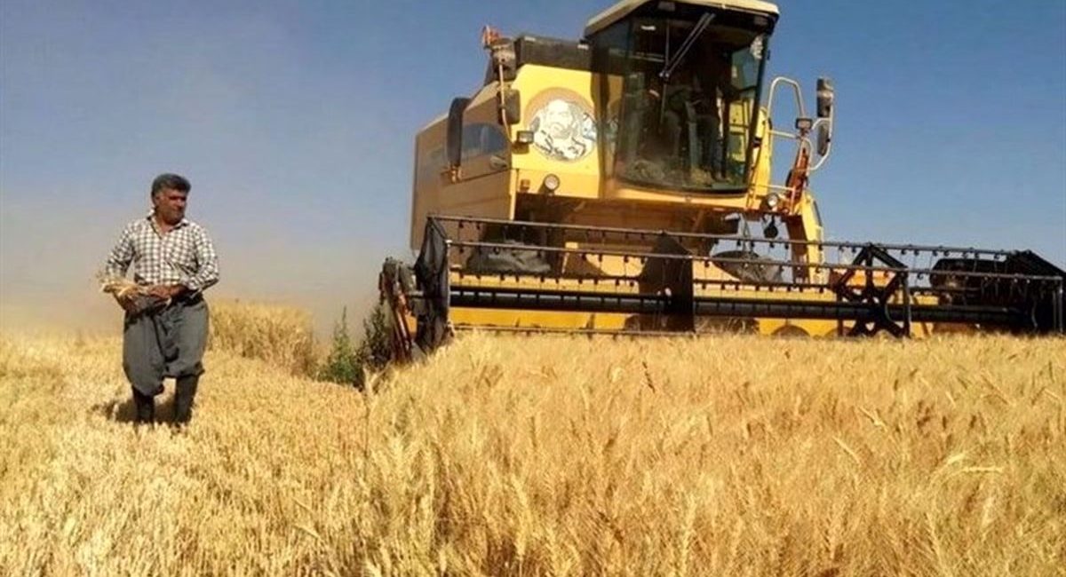خرید تضمینی گندم