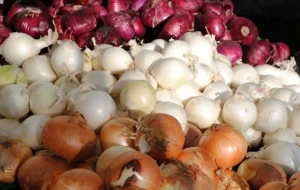 معمای پیاز صادراتی