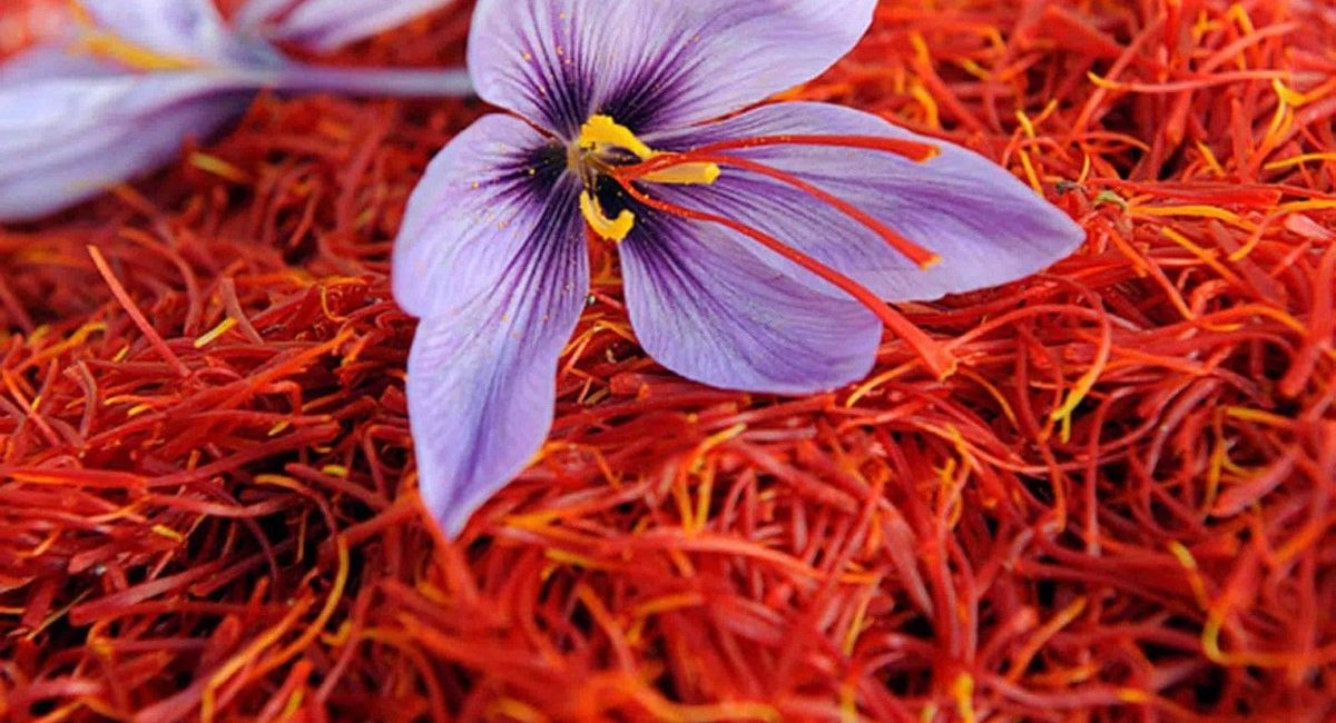 طلای سرخ