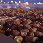 صادرات خرما