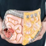 تنظیم دستگاه گوارش
