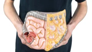 تنظیم دستگاه گوارش