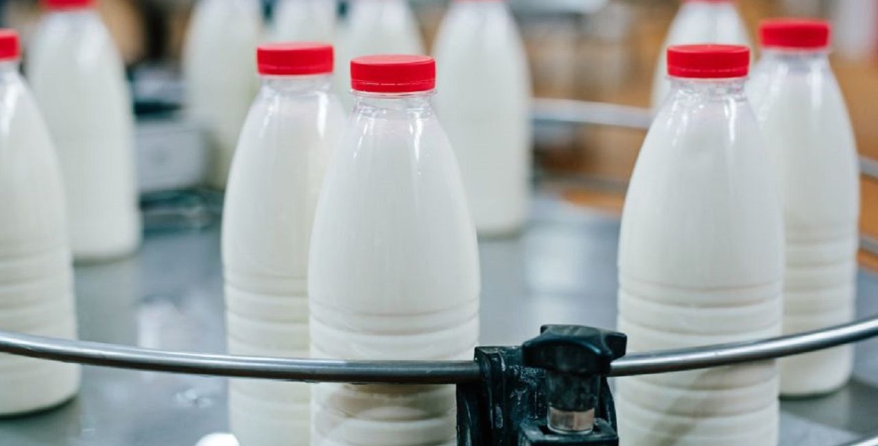 قیمت‌گذاری دستوری لبنیات