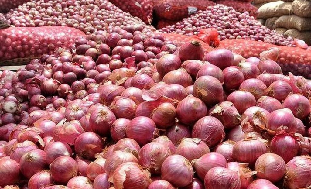 تولید پیاز