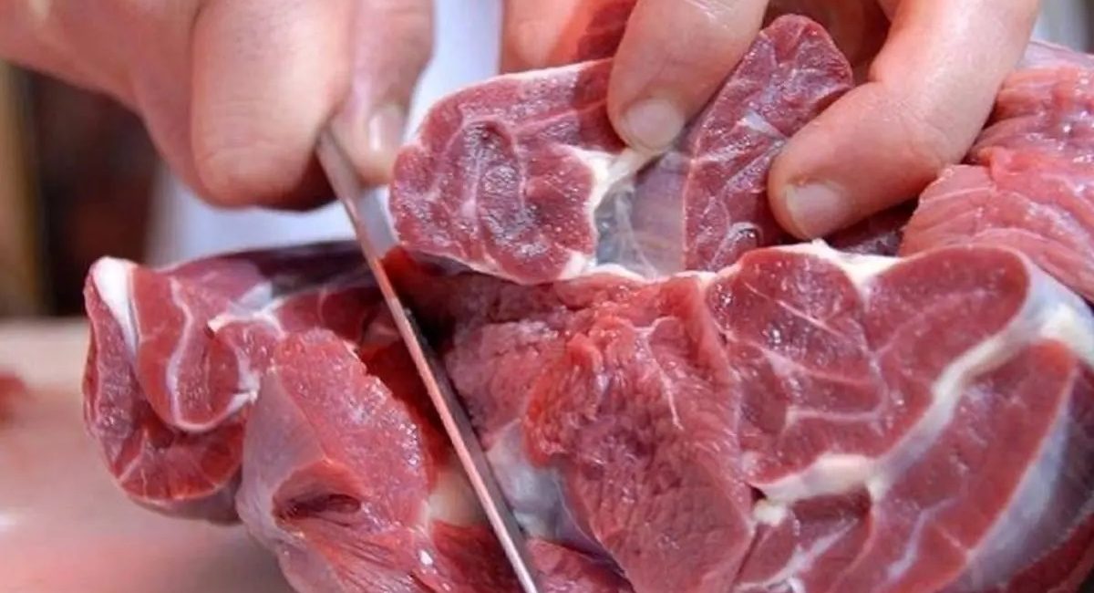 عرضه گوشت قرمز