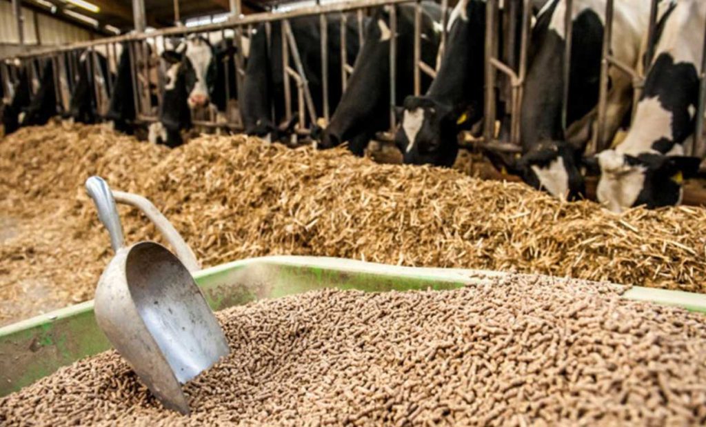 نهاده‌های دامی کشور