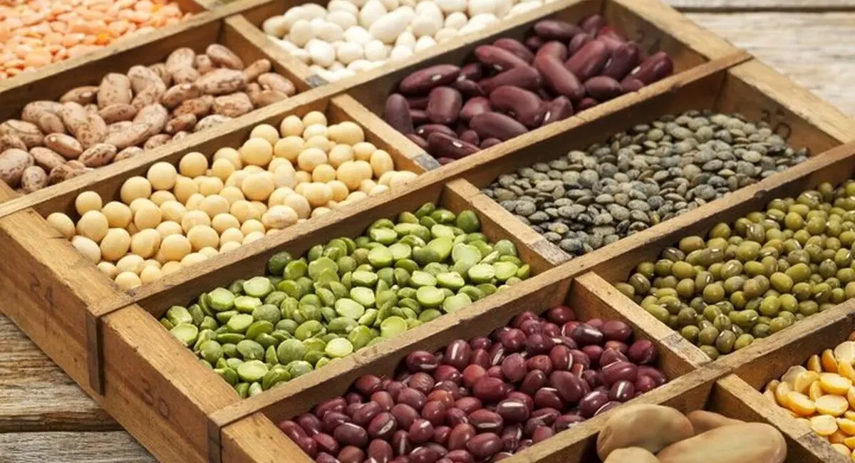 حبوبات و اسید اوریک